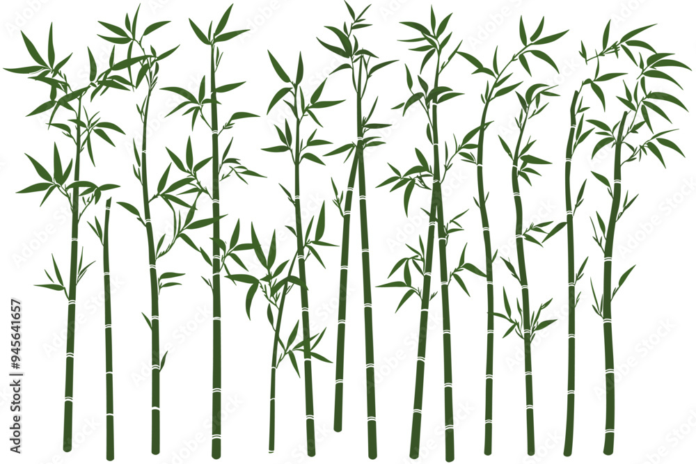 Obraz premium Bamboo forest stems. Jungle bamboo stems silhouettes, bamboo branches with leaves, decorative bamboo flat vector illustration set