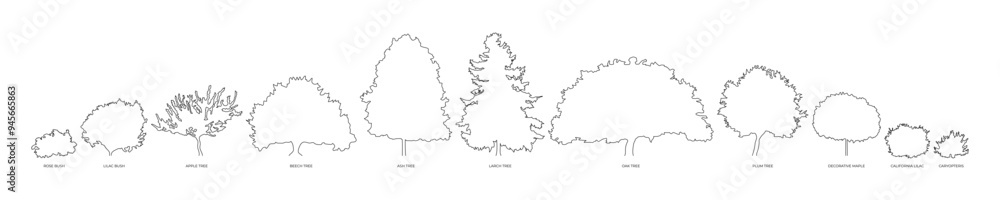A set of trees and shrubs of different species and shapes with caption. Vector illustration of tree contours A set of trees and shrubs of different species and shapes with caption. Vector illustration of tree contours