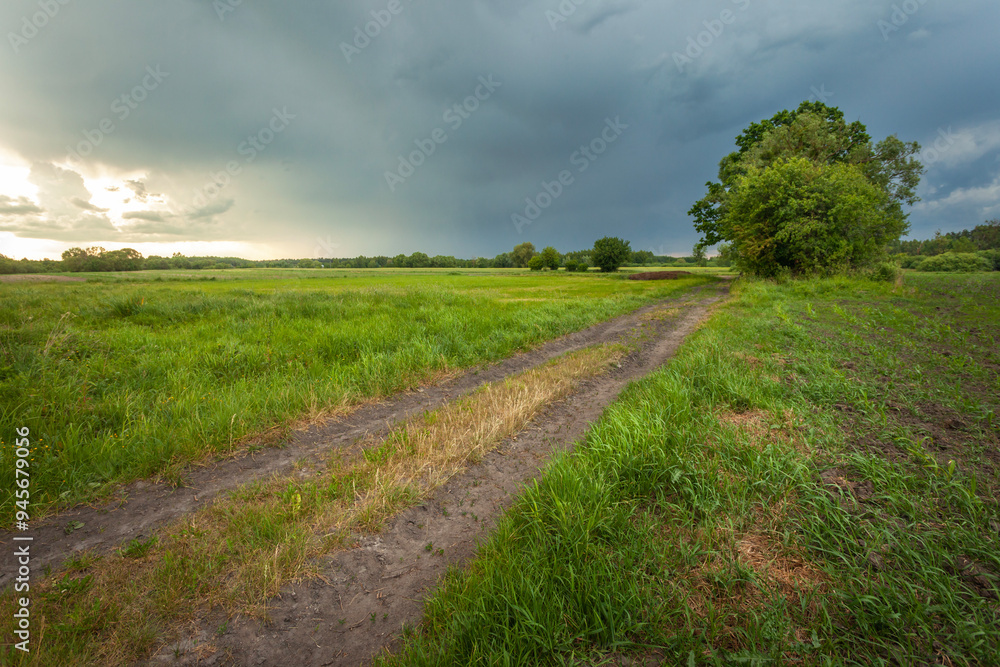 Fototapeta premium Dark storm clouds over a meadow with dirt road