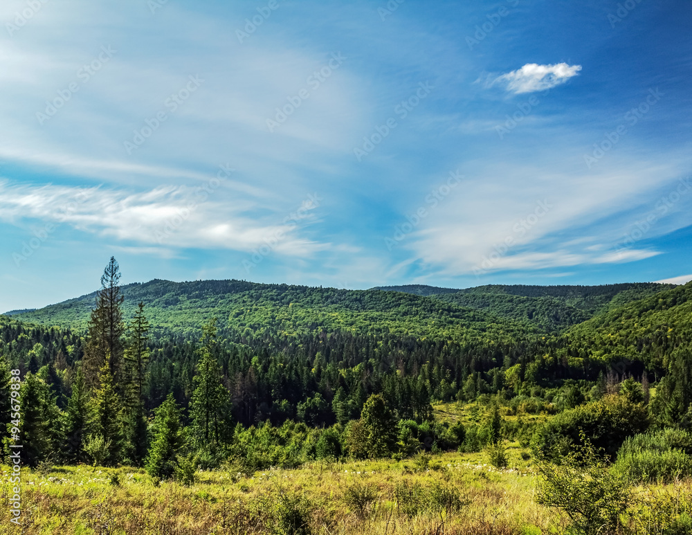 Landscapes - Forest - Europe, Romania, Suceava region Landscapes - Forest - Europe, Romania, Suceava region