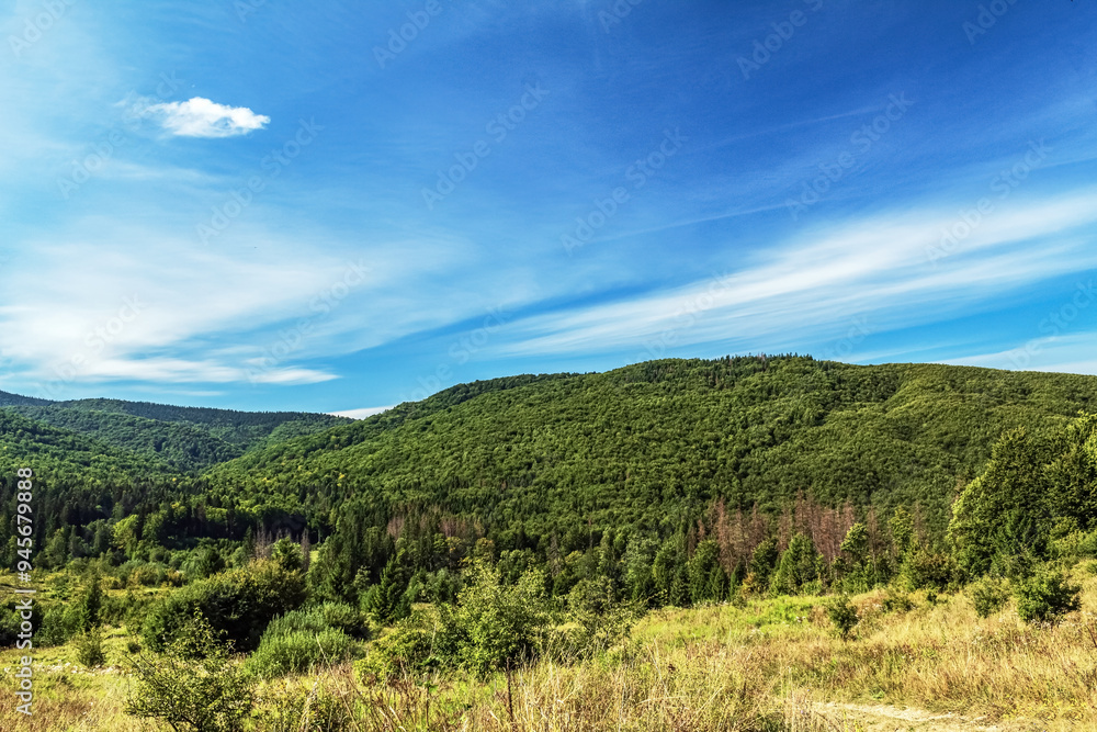 Fototapeta premium Landscapes - Forest - Europe, Romania, Suceava region