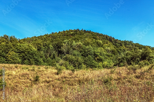 Landscapes - Forest - Europe, Romania, Suceava region