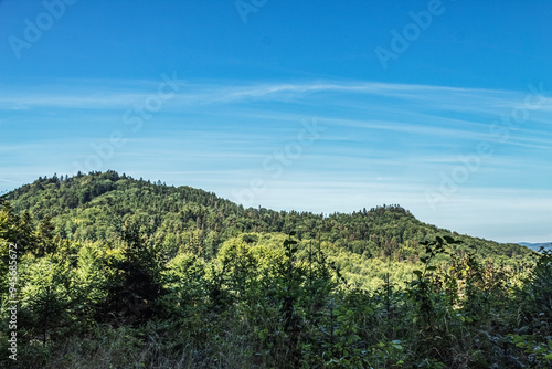 Landscapes - Forest - Europe, Romania, Suceava region