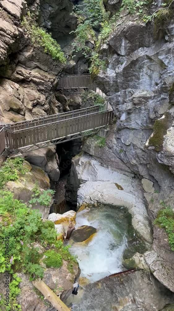 waterfall in the woods