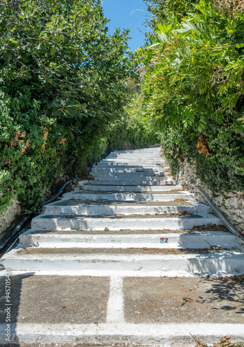 Greece. Whitewashed stone stairs and plants in a small village, greek island