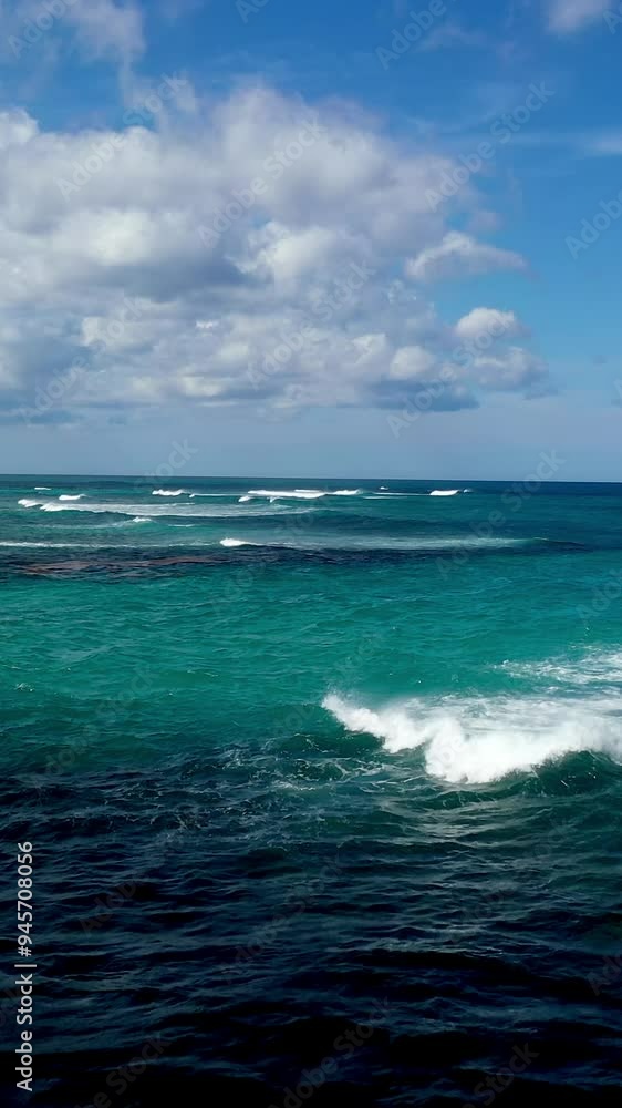 Vertical video showcasing a vibrant reef and crashing waves. High-quality footage perfect for highlighting underwater beauty and coastal scenery. Ideal for travel and marine content. Vertical video showcasing a vibrant reef and crashing waves. High-quality footage perfect for highlighting underwater beauty and coastal scenery. Ideal for travel and marine content.