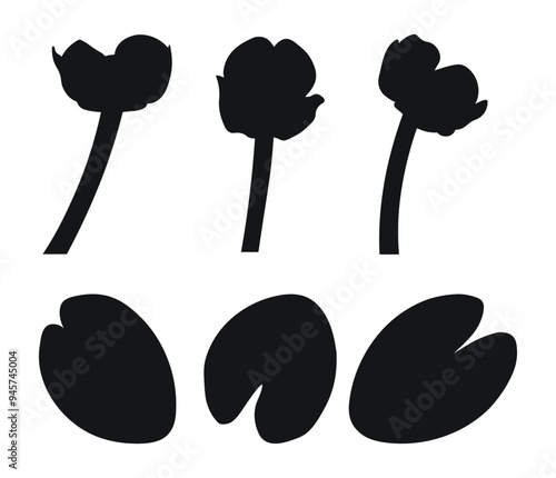 Silhouette of water lily, water lilies, aquatic plant