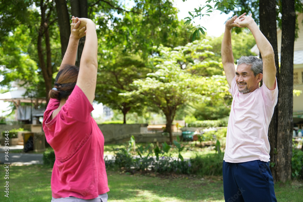 healthy asian senior couple stretching arms in the park before workout healthy asian senior couple stretching arms in the park before workout