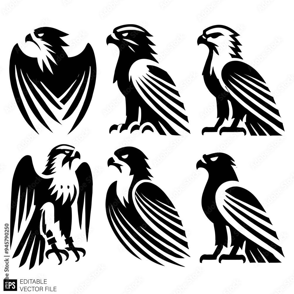 Obraz premium set of falcon graphic design vector clip art black and white silhouette templates