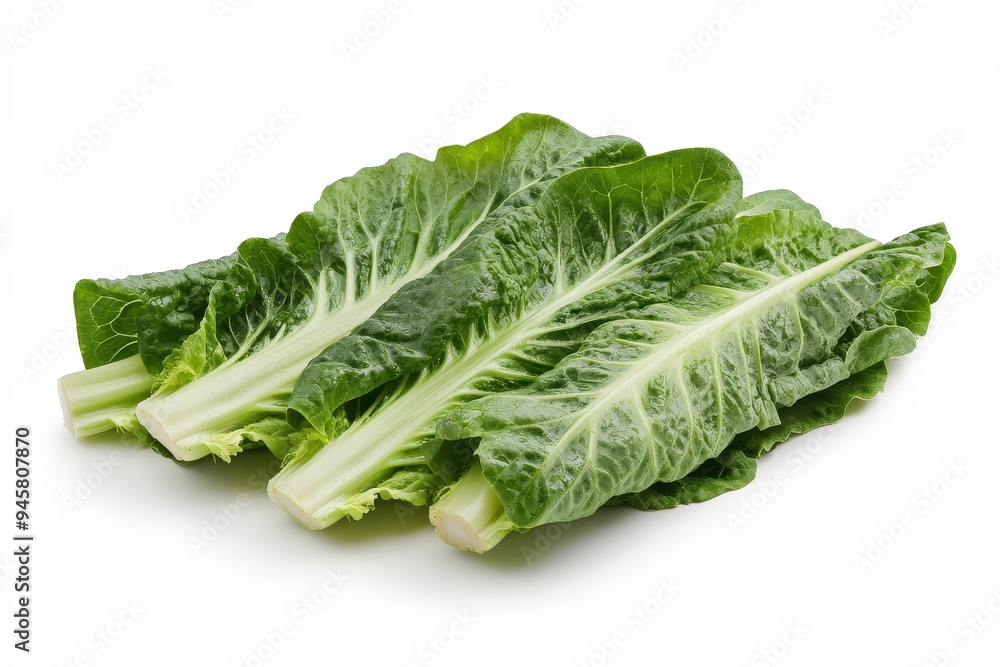 Three fresh romaine lettuce leaves arranged neatly on a white background.