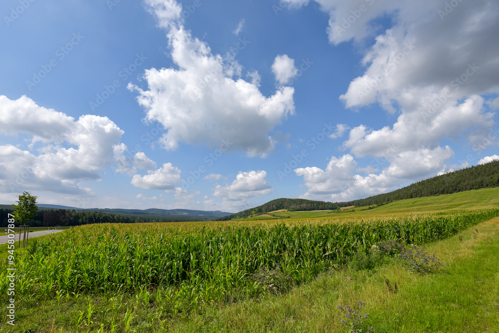 Landschaft in Thüringen mit Feld und Bergen Landschaft in Thüringen mit Feld und Bergen
