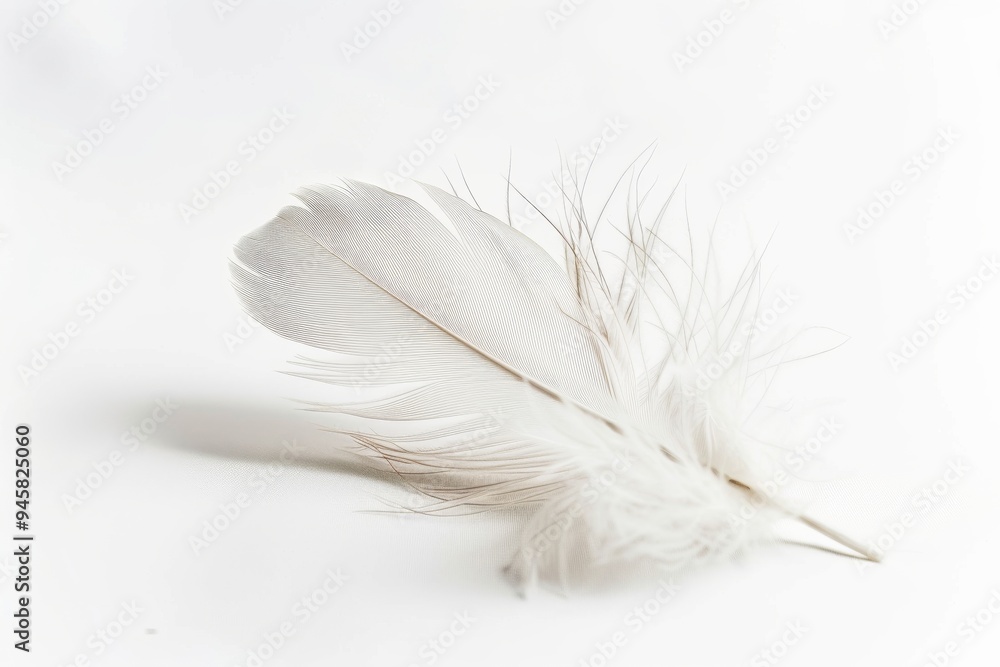 A delicate white feather lying on a smooth surface A delicate white feather lying on a smooth surface