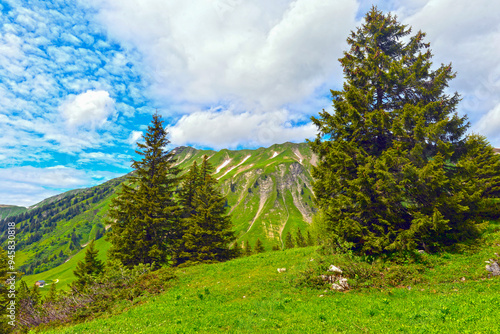 Hochtannbergpass in Warth Vorarlberg, Österreich 