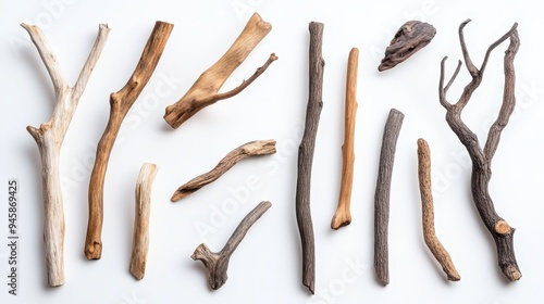 A collection of various pieces of driftwood arranged artistically on a white background.