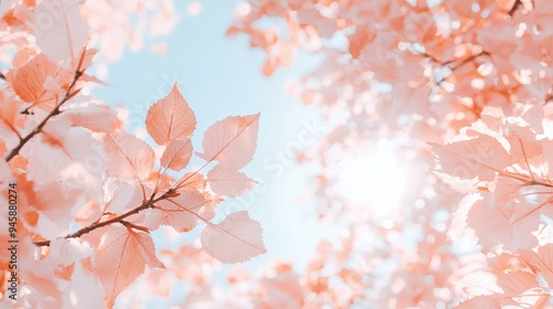  A close-up of a tree with leaves in the foreground and a vibrant blue sky in the background