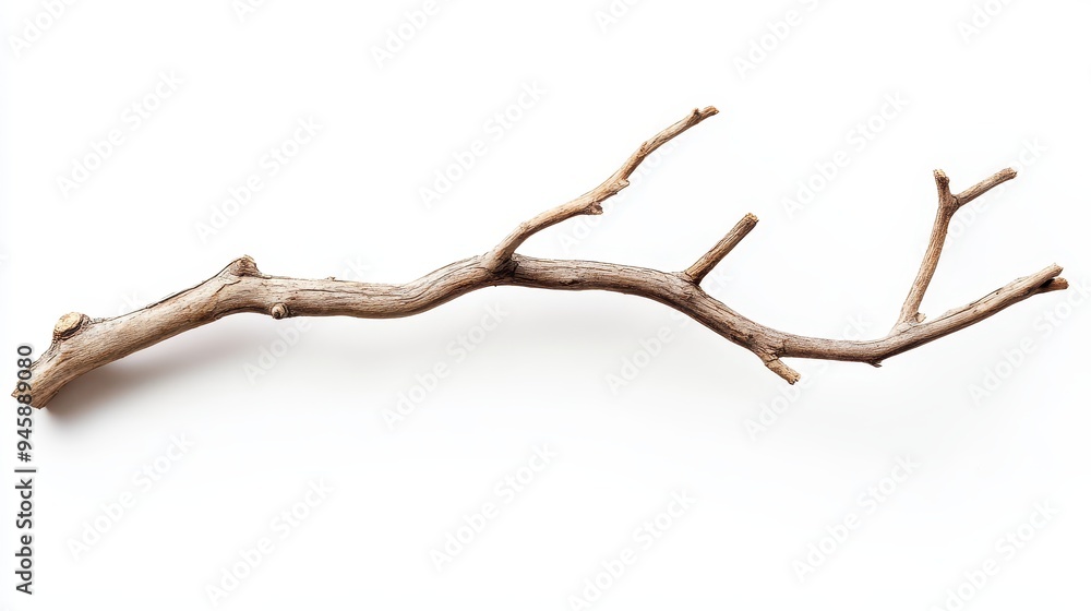 A dry, twisted branch with multiple offshoots on a white background. A dry, twisted branch with multiple offshoots on a white background.