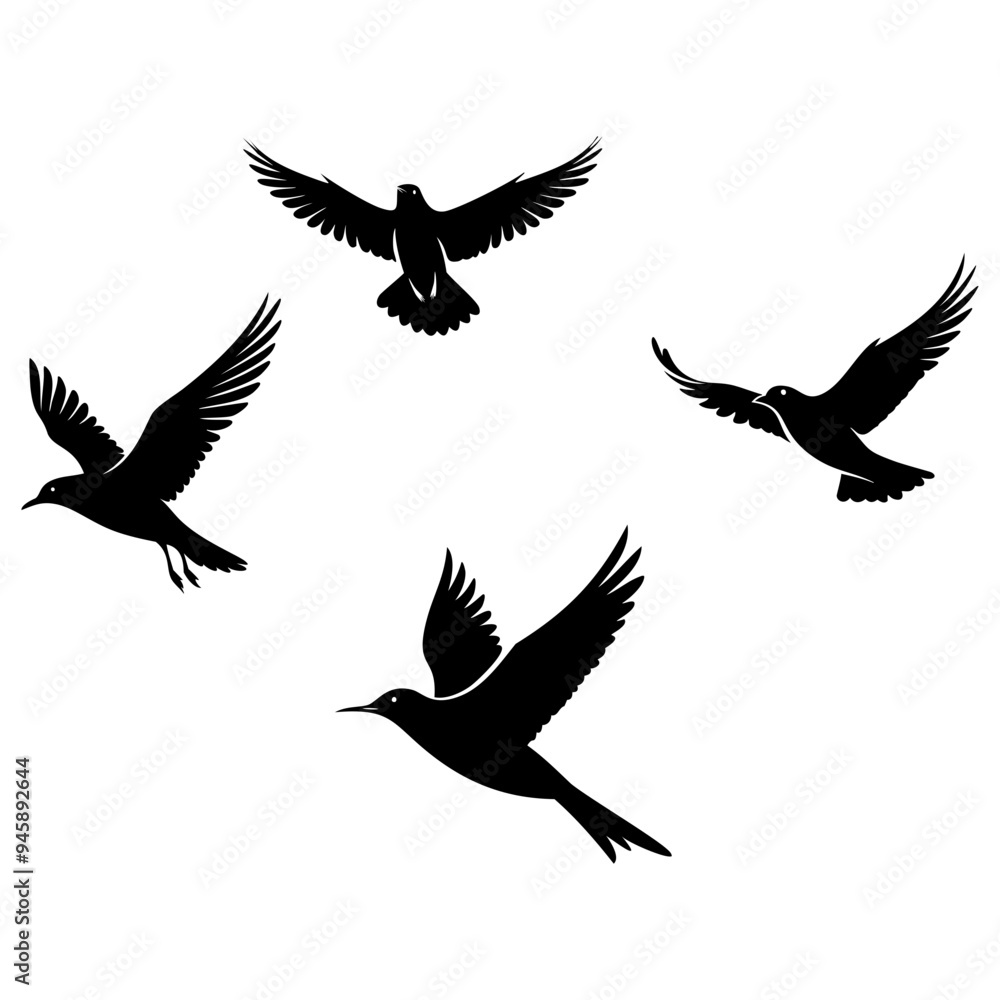 Flock of birds flying Flock of birds flying