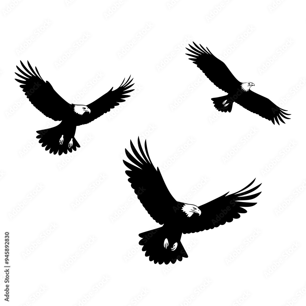 Flock of eagle in flight Flock of eagle in flight