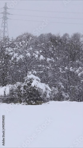 北海道　雪が降る森林　冬　イメージ　縦向き　縦型動画　回転　サイネージ　函館大沼エリア