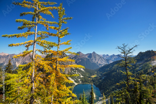 Autumn in Washington photo