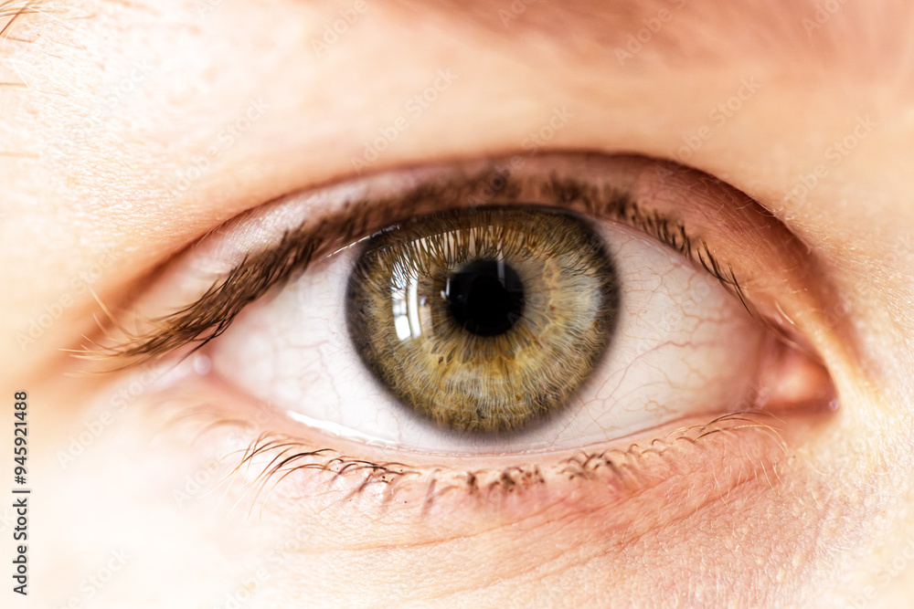 Fototapeta premium Close-Up of a Human Eye