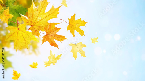 Golden autumn leaves gently falling through the air with a bright, clear sky in the background, capturing the essence of the season.
