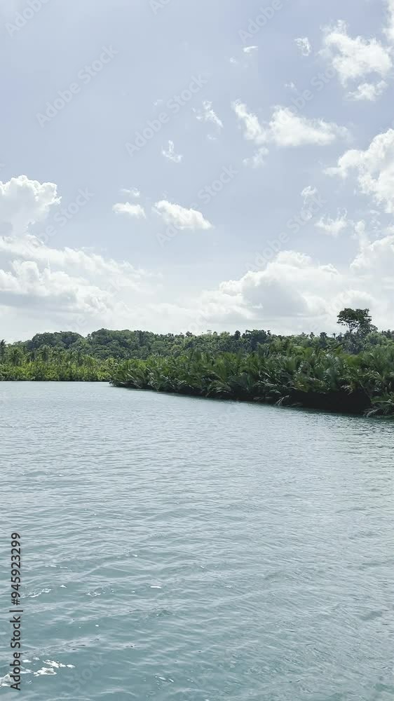 Loboc river in Philippines vertical video on the boat Loboc river in Philippines vertical video on the boat