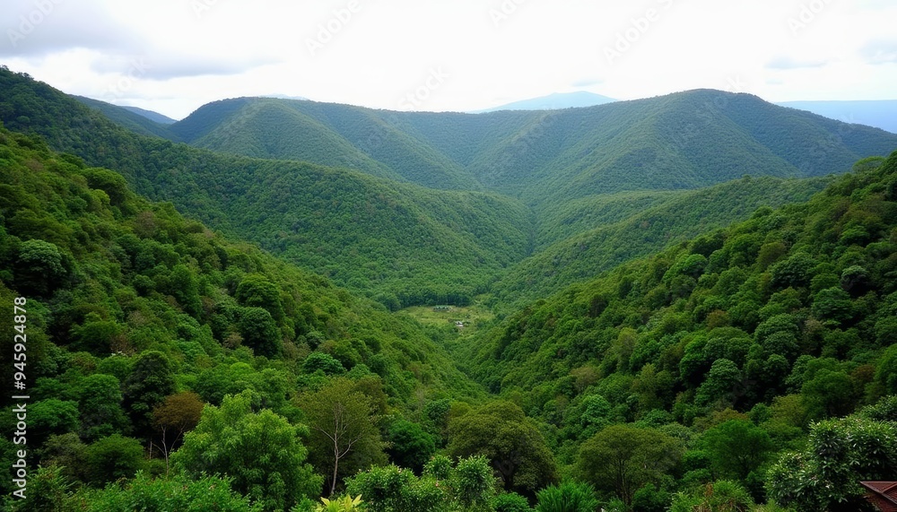 Obraz premium Vast verdant valley a testament to natures grandeur