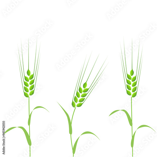 Clip art of barley with green ears in cartoon style