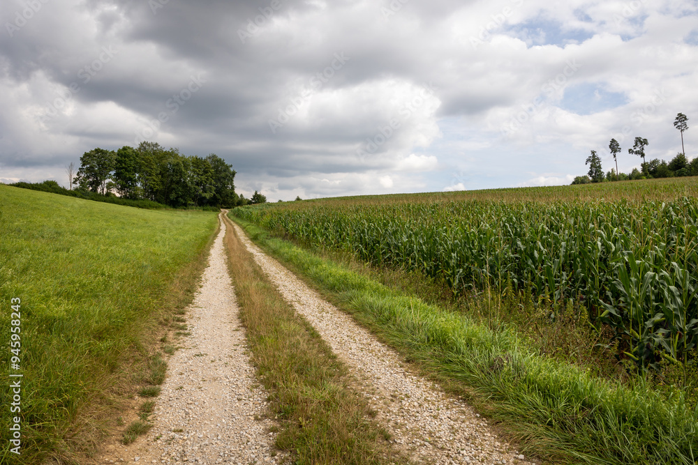 Obraz premium Langer Weg 1