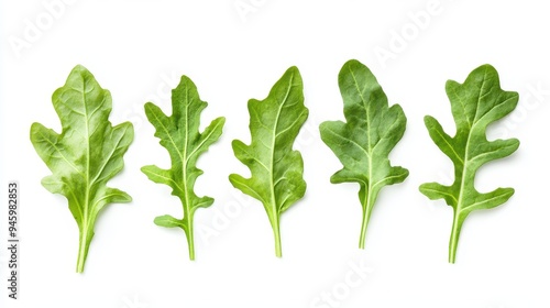 A series of five green arugula leaves arranged in a row on a white background.