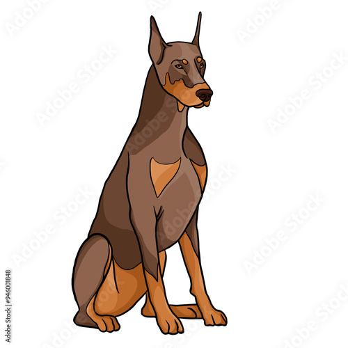 Dog of the Doberman breed