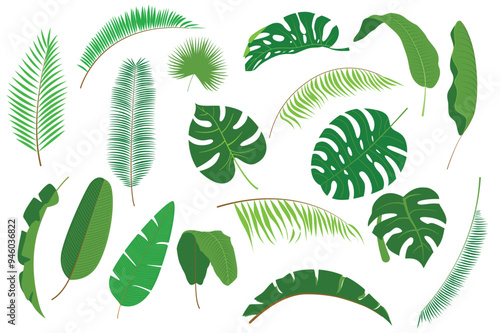 Set of palm tree leaves in flat cartoon design. A collection of tropical leaves in a rich green color highlighting diverse forms and sizes perfect for nature-inspired concepts. Vector illustration.