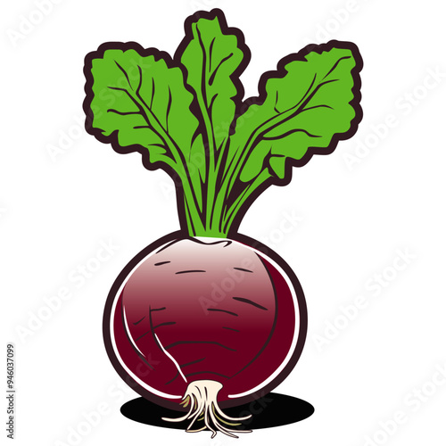 beetroot isolated on white background