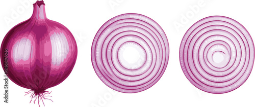 vector illustration of a whole red onion and its cross-sections, showcasing detailed layers. Ideal for use in food blogs, recipes, and nutritional content.