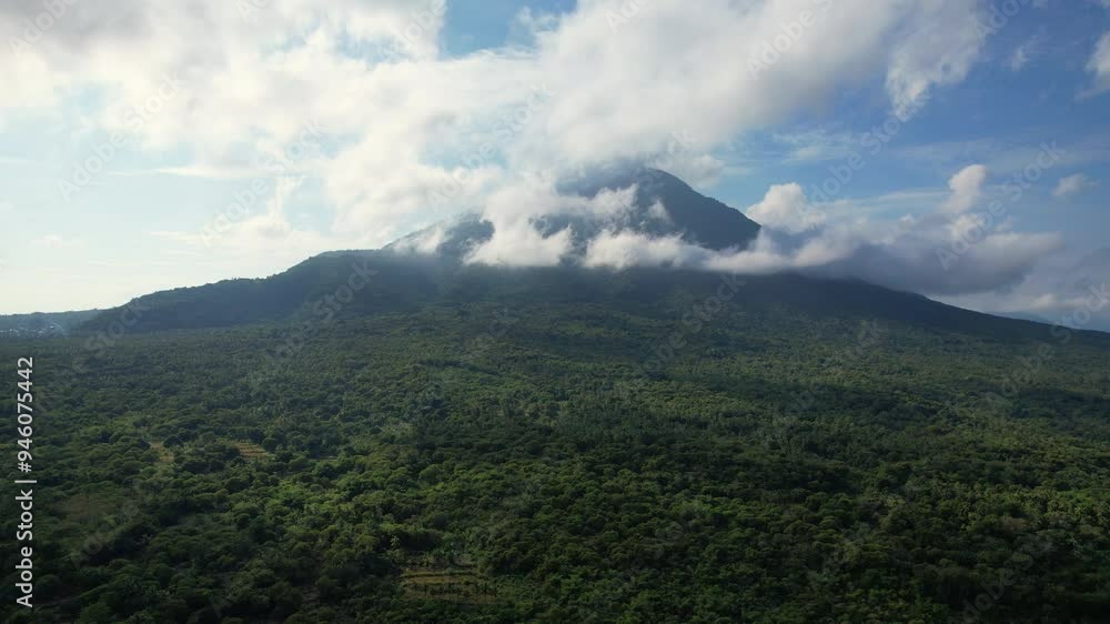Aerial drone shot of a vast lush jungle of cocunut trees in Flores island, Indonesia, with Ile Mandiri high volcano behind in the background, surrounded by some clouds, with a blue sky behind. Aerial drone shot of a vast lush jungle of cocunut trees in Flores island, Indonesia, with Ile Mandiri high volcano behind in the background, surrounded by some clouds, with a blue sky behind.