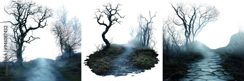 Mysterious foggy forest paths at night