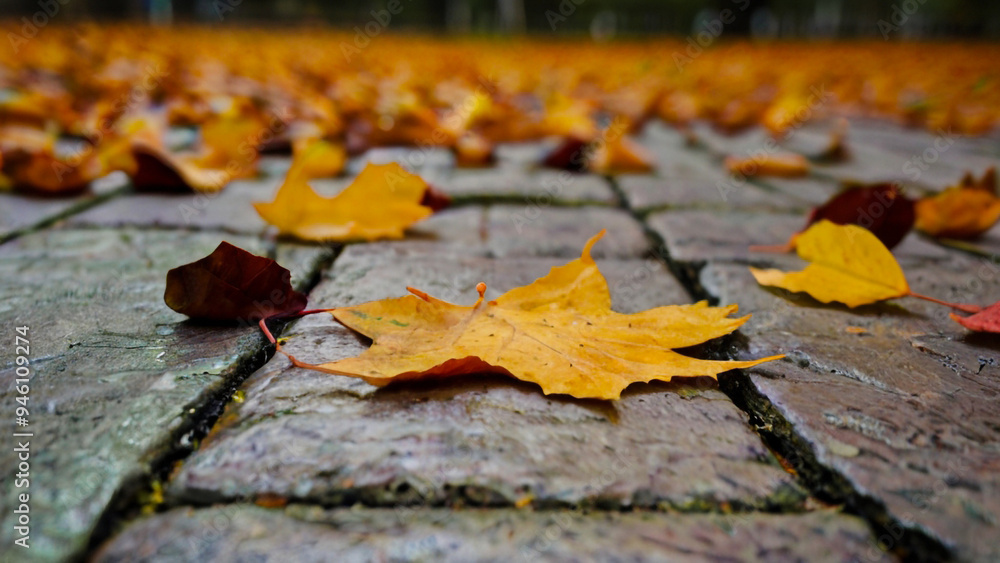 Autumn wallpaper with colored red leaves on dark grey street stown pavement slate background. AI Generated Autumn wallpaper with colored red leaves on dark grey street stown pavement slate background. AI Generated