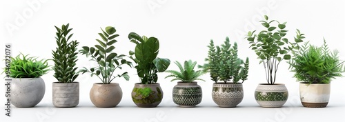 A set of potted plants in various shapes and sizes, including green plants and concrete pots with patterns.