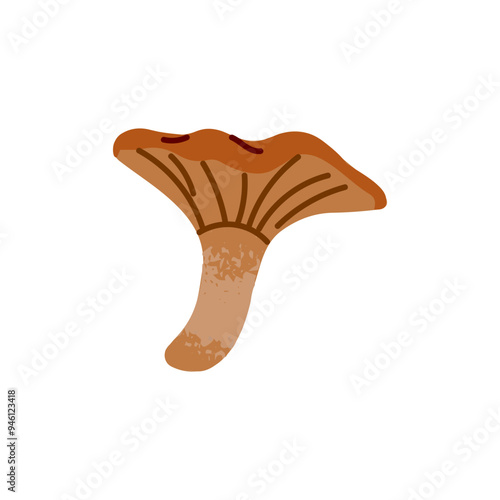 Chanterelle icon. Edible mushroom in hand drawn style. Autumn boletus, fall fungus for food. Forest bolete for eating. Autumnal nature element. Flat isolated vector illustration on white background