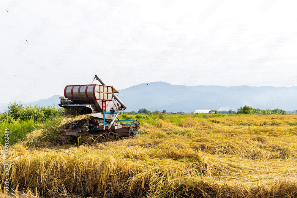 Fototapeta premium Harvesting in the Countryside