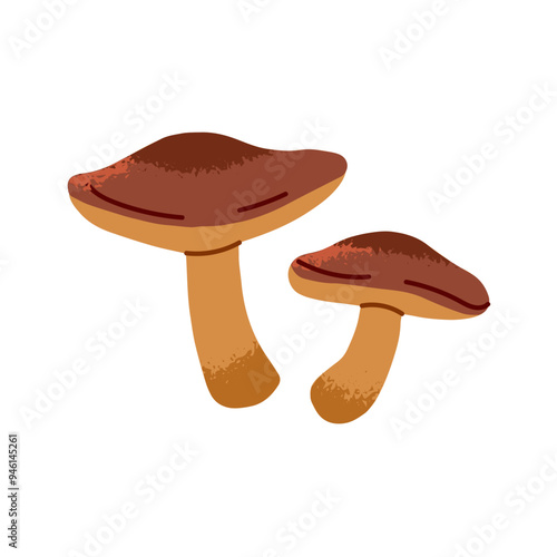 Suillus icon. Autumnal raw fungus. Edible mushrooms in hand drawn style. Autumn boletus for eating. Fall forest food. Little fungi, bolete. Flat isolated vector illustration on white background
