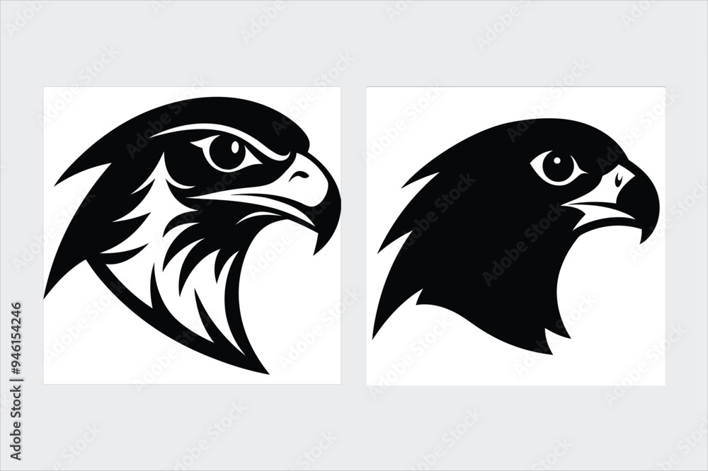 Fototapeta premium Falcon vector illustration