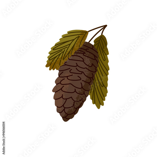 Evergreen pine branch with pinecone icon. Green fir twig, spruce sprig with needles. Coniferous tree with cone. Conifer strobile. Symbol of Xmas. Flat isolated vector illustration on white background