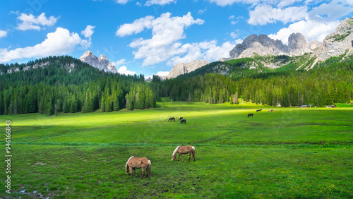 Horses grazing near Misurina in the Dolomites in summer. Veneto, Italy photo