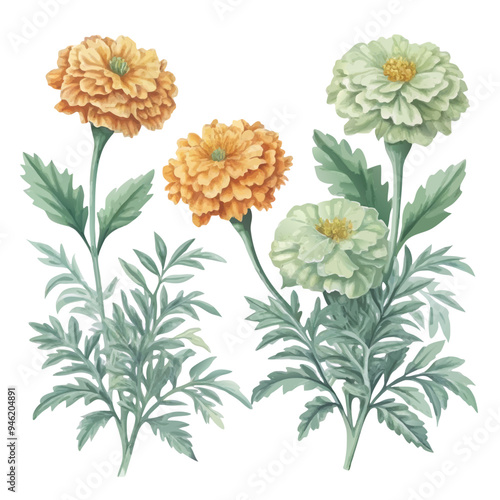 Wallpaper Mural Digital Watercolor Painting of Marigold Flowers in Yellow and Green with Detailed Leaves Torontodigital.ca