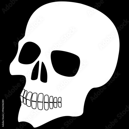 skull and crossbones vector anatomy head art Halloween 