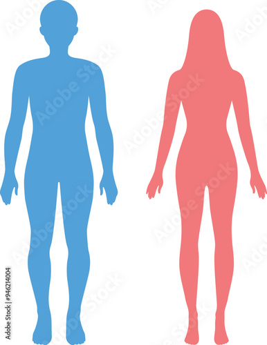 男性と女性の全身シルエットイラスト
