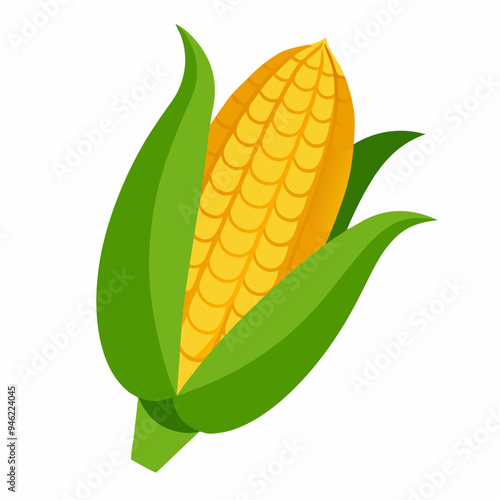 Corn cob clipart vector illustration isolated on white background