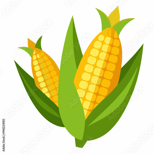 Corn cob clipart vector illustration isolated on white background